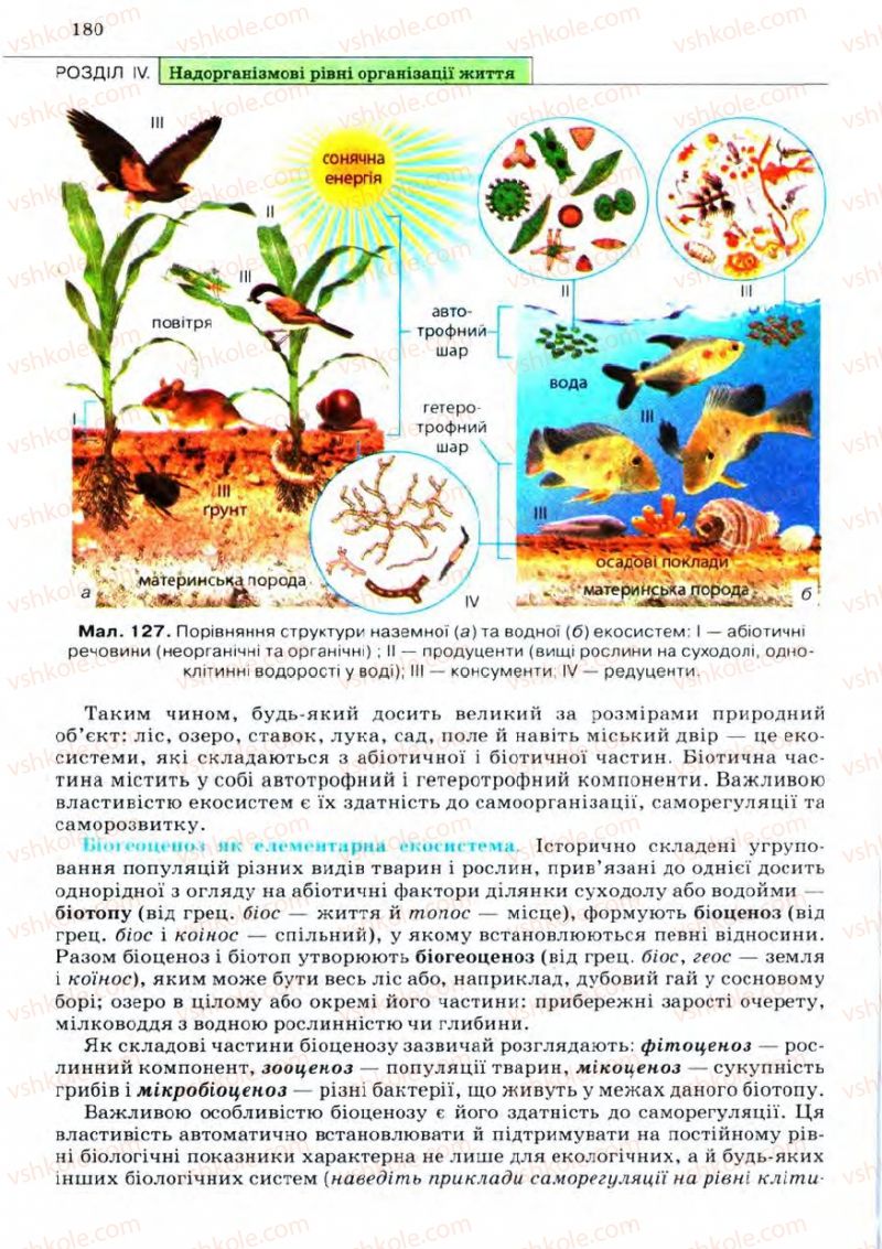 Страница 180 | Підручник Біологія 11 клас С.В. Межжерін, Я.О. Межжеріна 2011 Академічний рівень