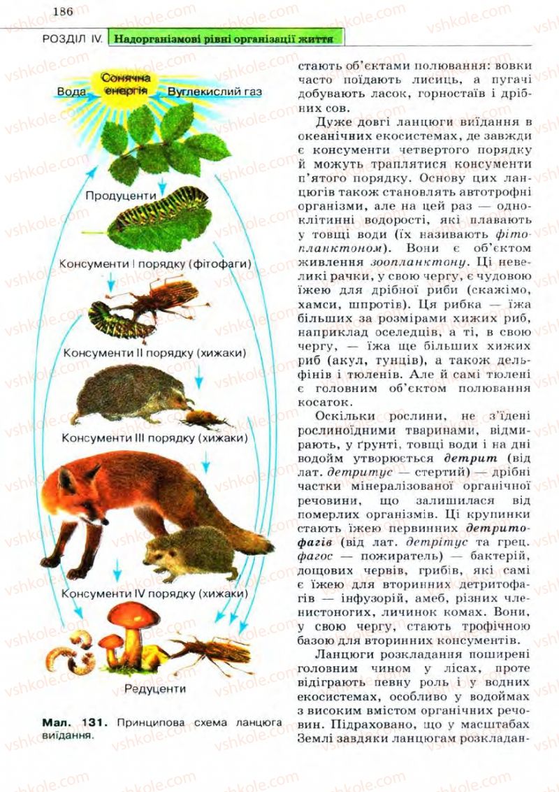 Страница 186 | Підручник Біологія 11 клас С.В. Межжерін, Я.О. Межжеріна 2011 Академічний рівень