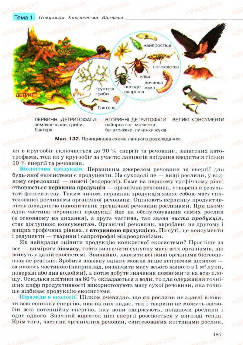 Страница 187 | Підручник Біологія 11 клас С.В. Межжерін, Я.О. Межжеріна 2011 Академічний рівень