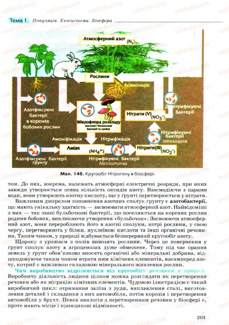 Страница 203 | Підручник Біологія 11 клас С.В. Межжерін, Я.О. Межжеріна 2011 Академічний рівень