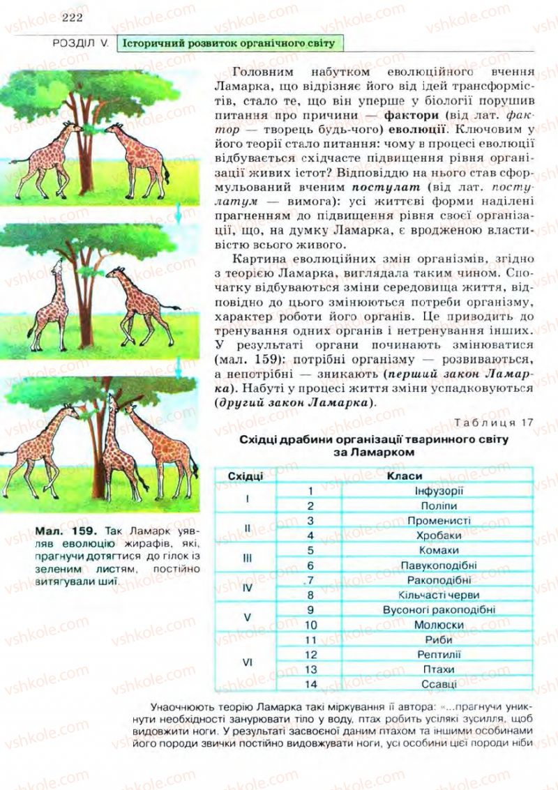 Страница 222 | Підручник Біологія 11 клас С.В. Межжерін, Я.О. Межжеріна 2011 Академічний рівень