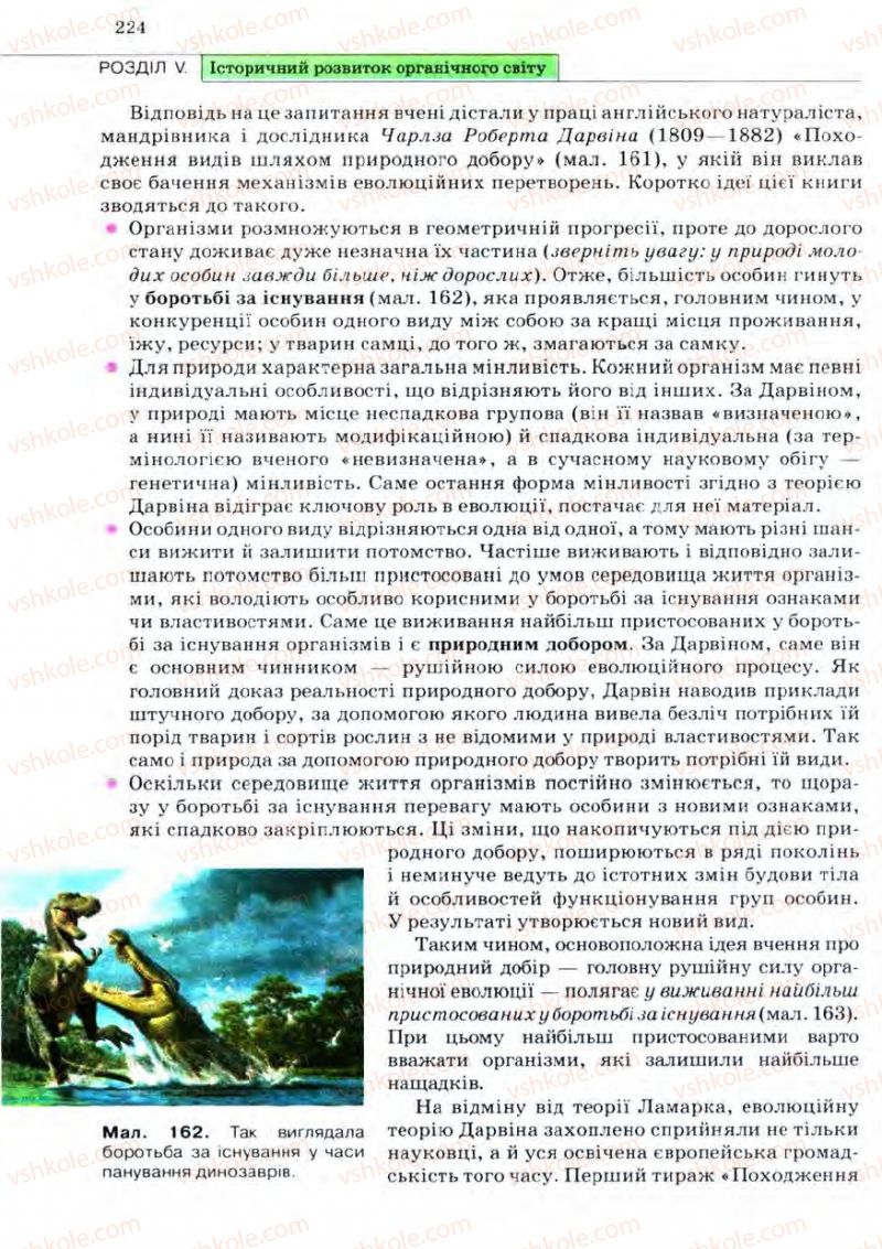 Страница 224 | Підручник Біологія 11 клас С.В. Межжерін, Я.О. Межжеріна 2011 Академічний рівень
