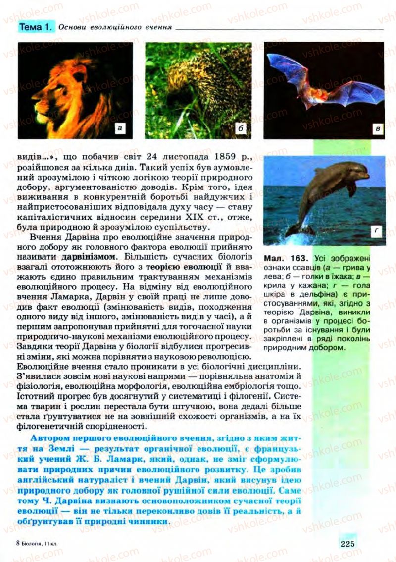 Страница 225 | Підручник Біологія 11 клас С.В. Межжерін, Я.О. Межжеріна 2011 Академічний рівень