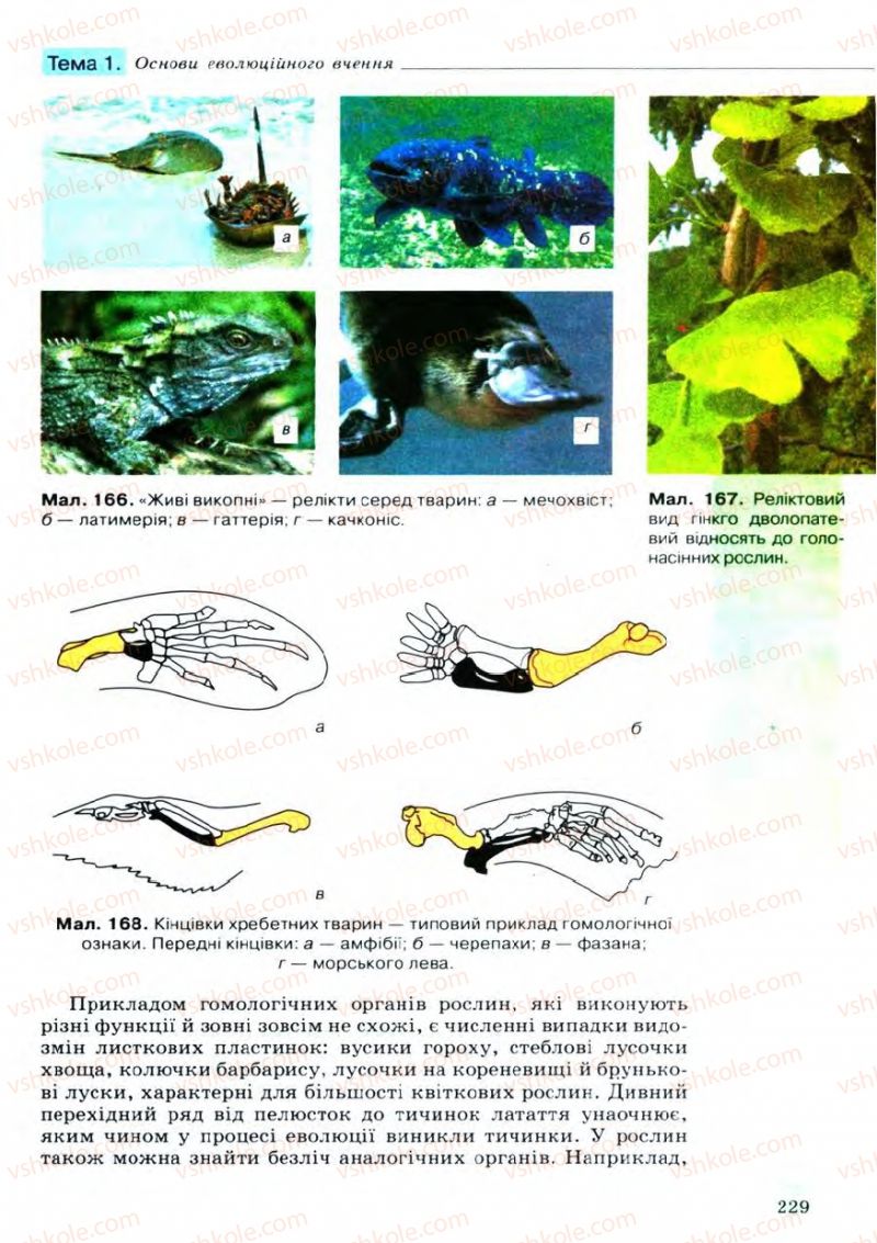 Страница 229 | Підручник Біологія 11 клас С.В. Межжерін, Я.О. Межжеріна 2011 Академічний рівень