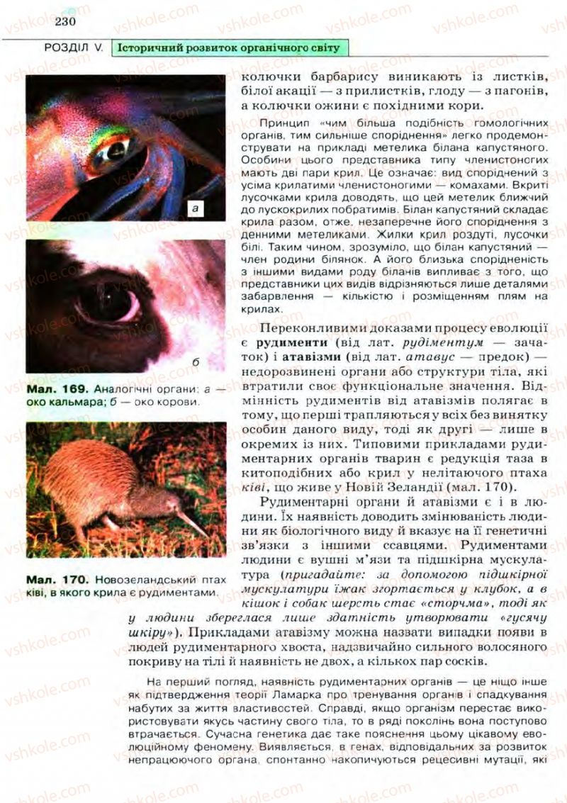 Страница 230 | Підручник Біологія 11 клас С.В. Межжерін, Я.О. Межжеріна 2011 Академічний рівень