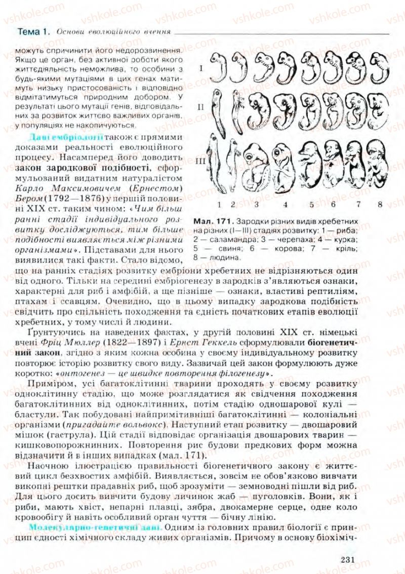 Страница 231 | Підручник Біологія 11 клас С.В. Межжерін, Я.О. Межжеріна 2011 Академічний рівень