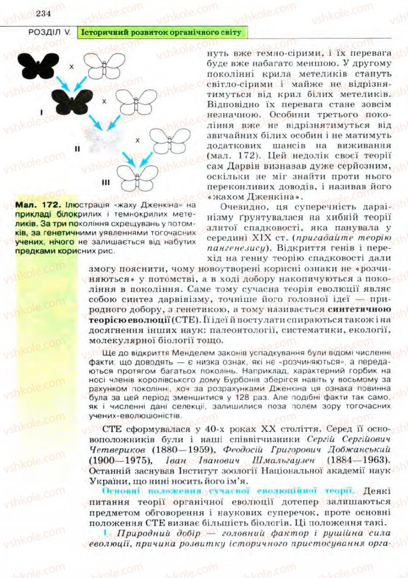 Страница 234 | Підручник Біологія 11 клас С.В. Межжерін, Я.О. Межжеріна 2011 Академічний рівень