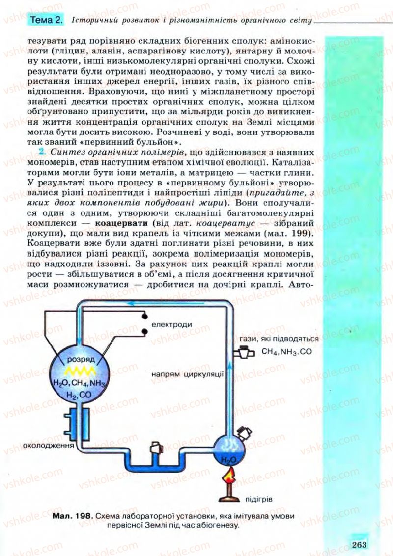 Страница 263 | Підручник Біологія 11 клас С.В. Межжерін, Я.О. Межжеріна 2011 Академічний рівень