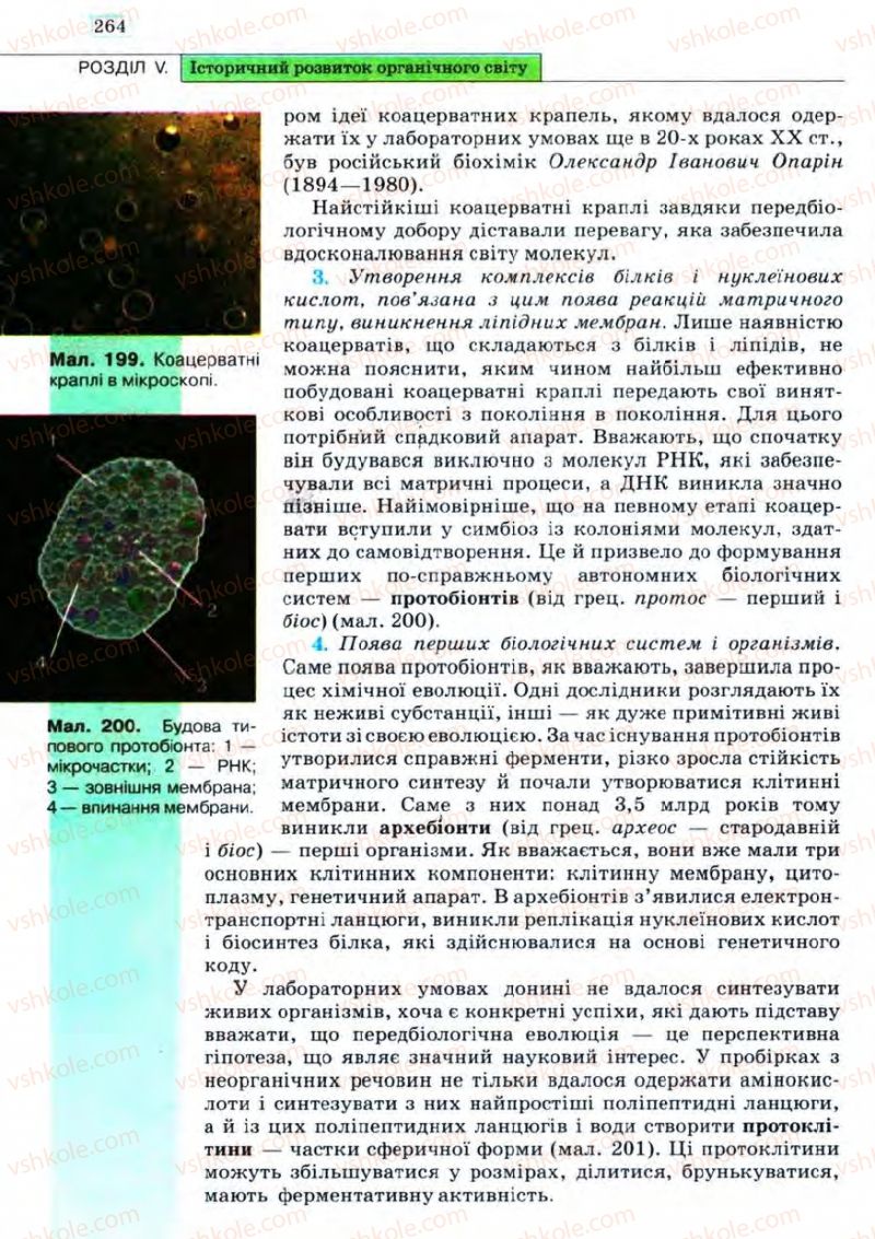 Страница 264 | Підручник Біологія 11 клас С.В. Межжерін, Я.О. Межжеріна 2011 Академічний рівень