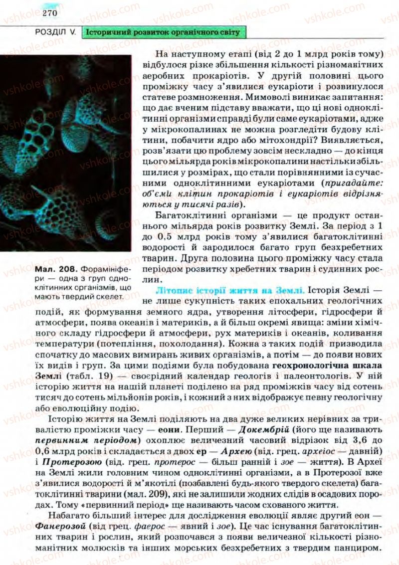 Страница 270 | Підручник Біологія 11 клас С.В. Межжерін, Я.О. Межжеріна 2011 Академічний рівень