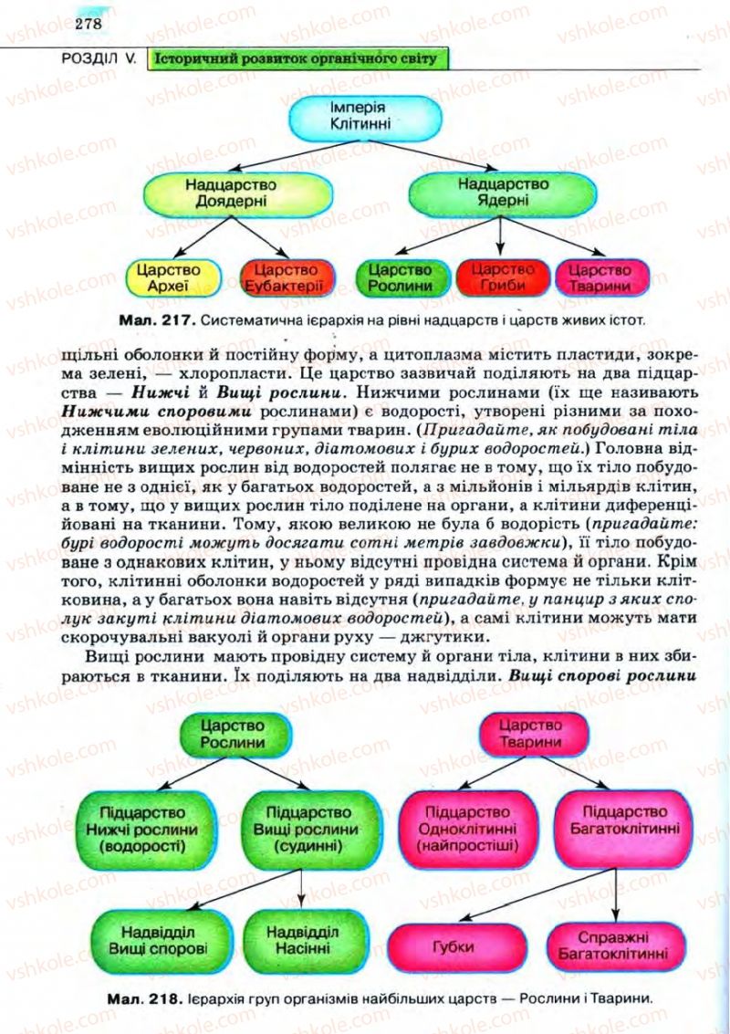 Страница 278 | Підручник Біологія 11 клас С.В. Межжерін, Я.О. Межжеріна 2011 Академічний рівень