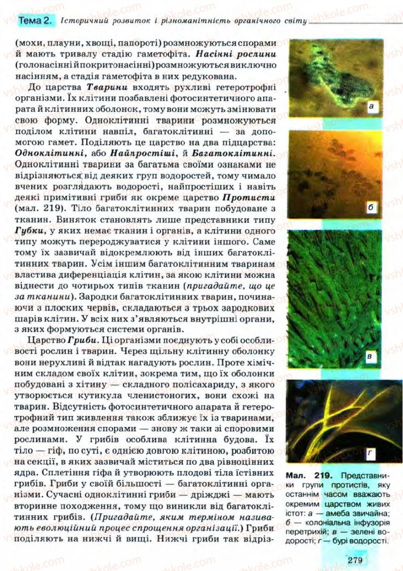 Страница 279 | Підручник Біологія 11 клас С.В. Межжерін, Я.О. Межжеріна 2011 Академічний рівень