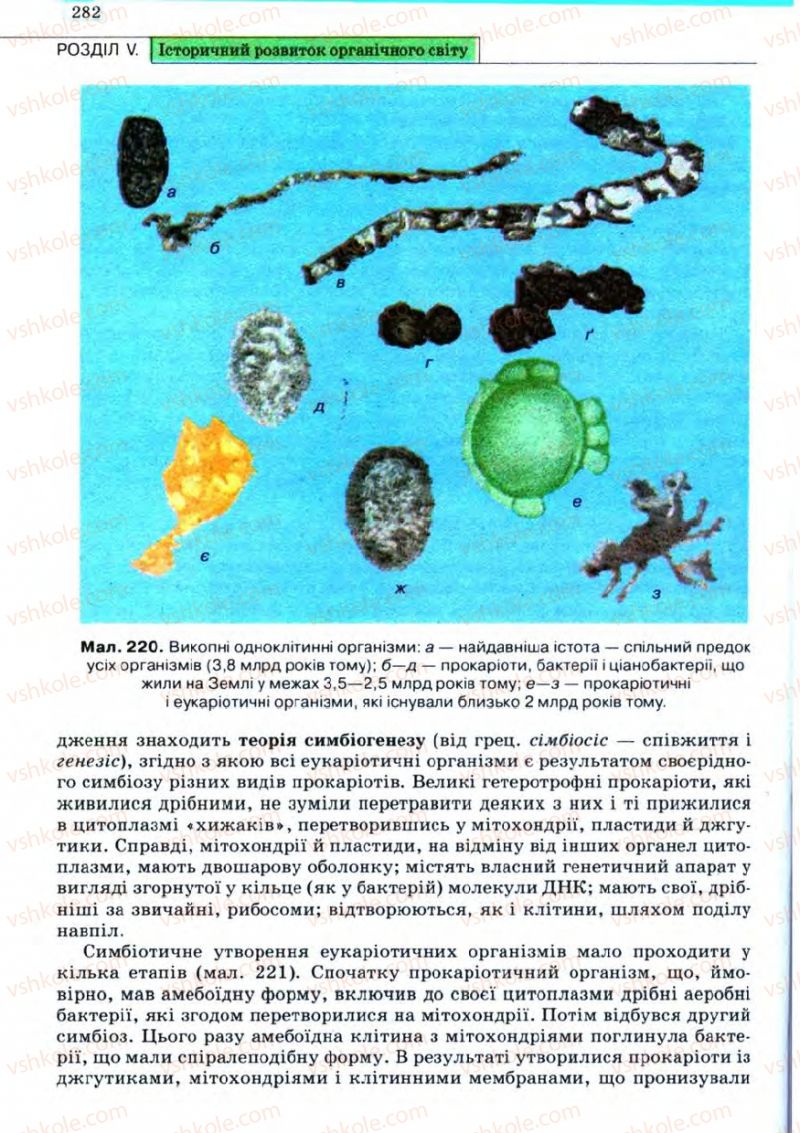 Страница 282 | Підручник Біологія 11 клас С.В. Межжерін, Я.О. Межжеріна 2011 Академічний рівень
