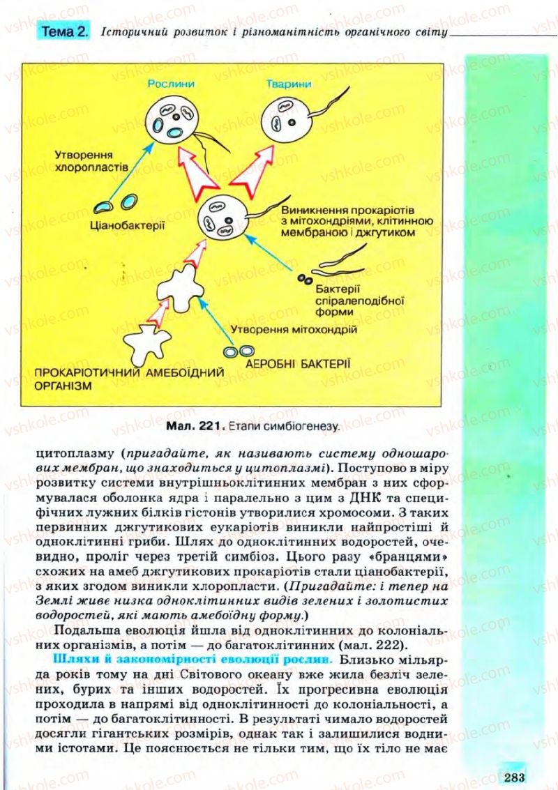 Страница 283 | Підручник Біологія 11 клас С.В. Межжерін, Я.О. Межжеріна 2011 Академічний рівень