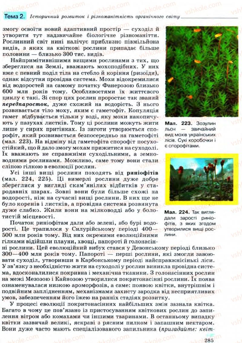 Страница 285 | Підручник Біологія 11 клас С.В. Межжерін, Я.О. Межжеріна 2011 Академічний рівень