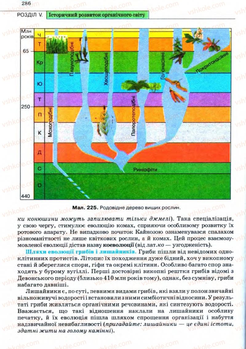 Страница 286 | Підручник Біологія 11 клас С.В. Межжерін, Я.О. Межжеріна 2011 Академічний рівень