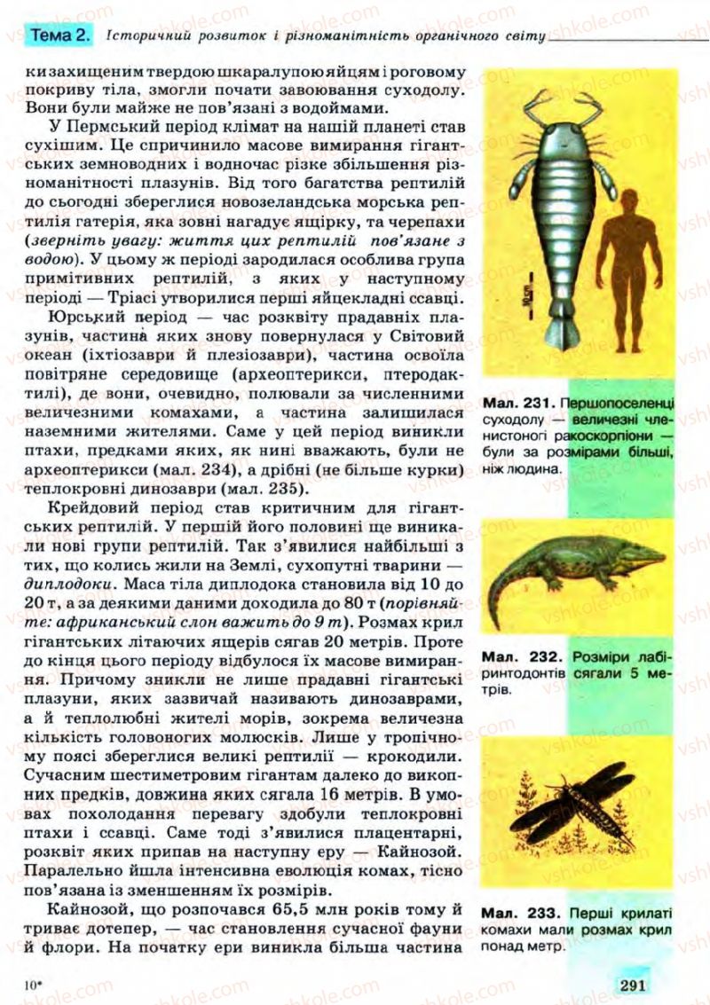 Страница 291 | Підручник Біологія 11 клас С.В. Межжерін, Я.О. Межжеріна 2011 Академічний рівень