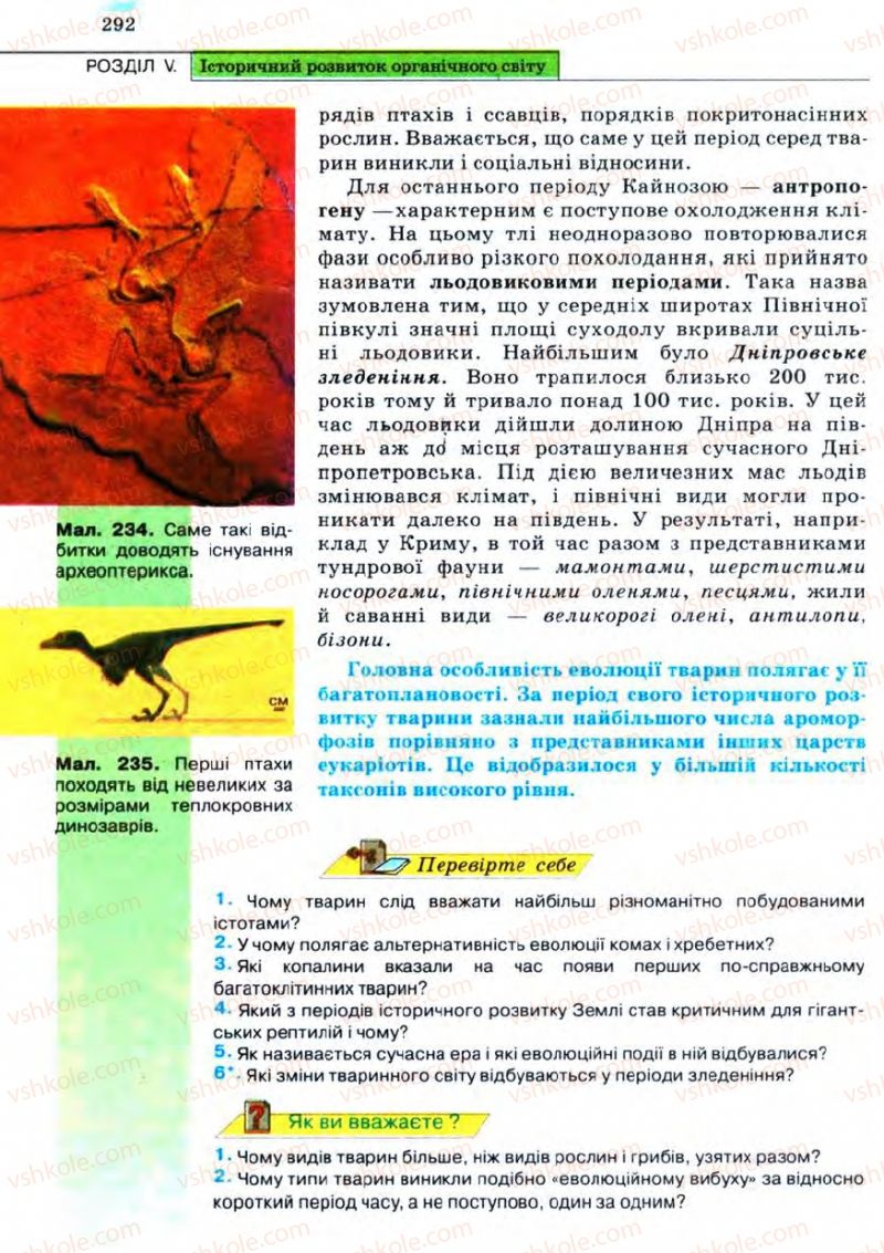 Страница 292 | Підручник Біологія 11 клас С.В. Межжерін, Я.О. Межжеріна 2011 Академічний рівень