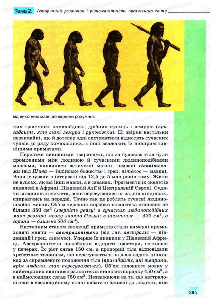 Страница 295 | Підручник Біологія 11 клас С.В. Межжерін, Я.О. Межжеріна 2011 Академічний рівень