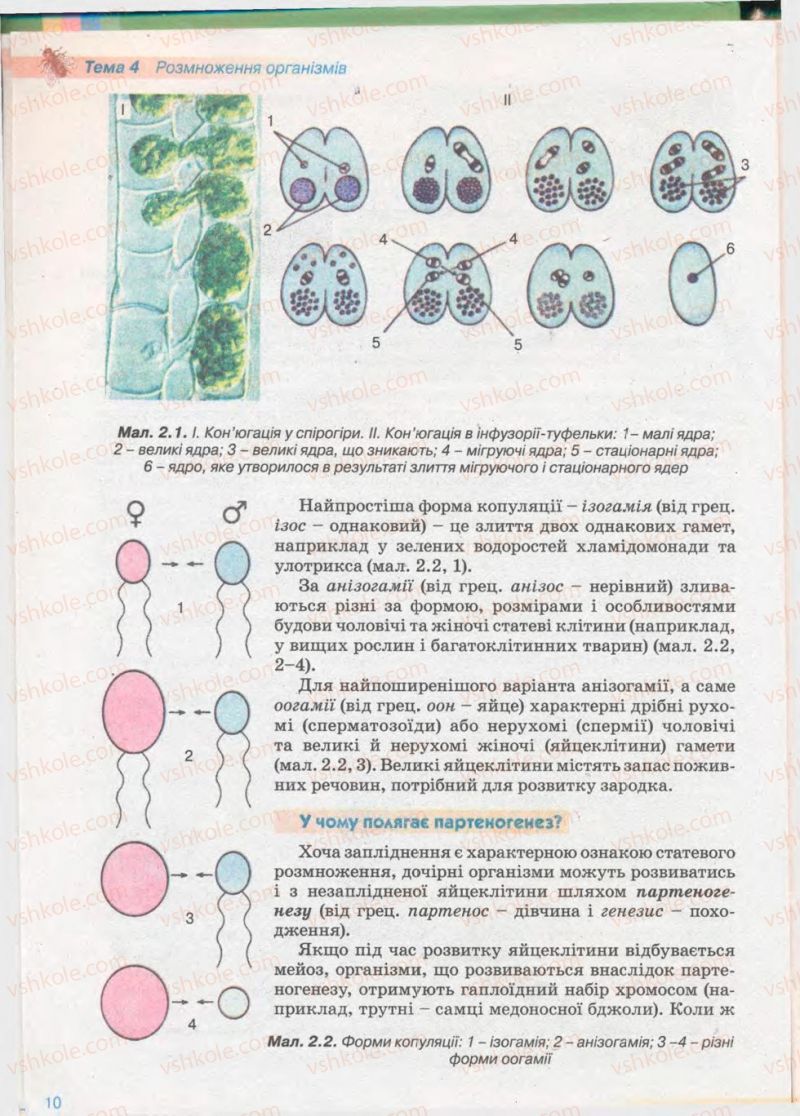 Страница 10 | Підручник Біологія 11 клас П.Г. Балан, Ю.Г. Вервес 2011 Академічний рівень