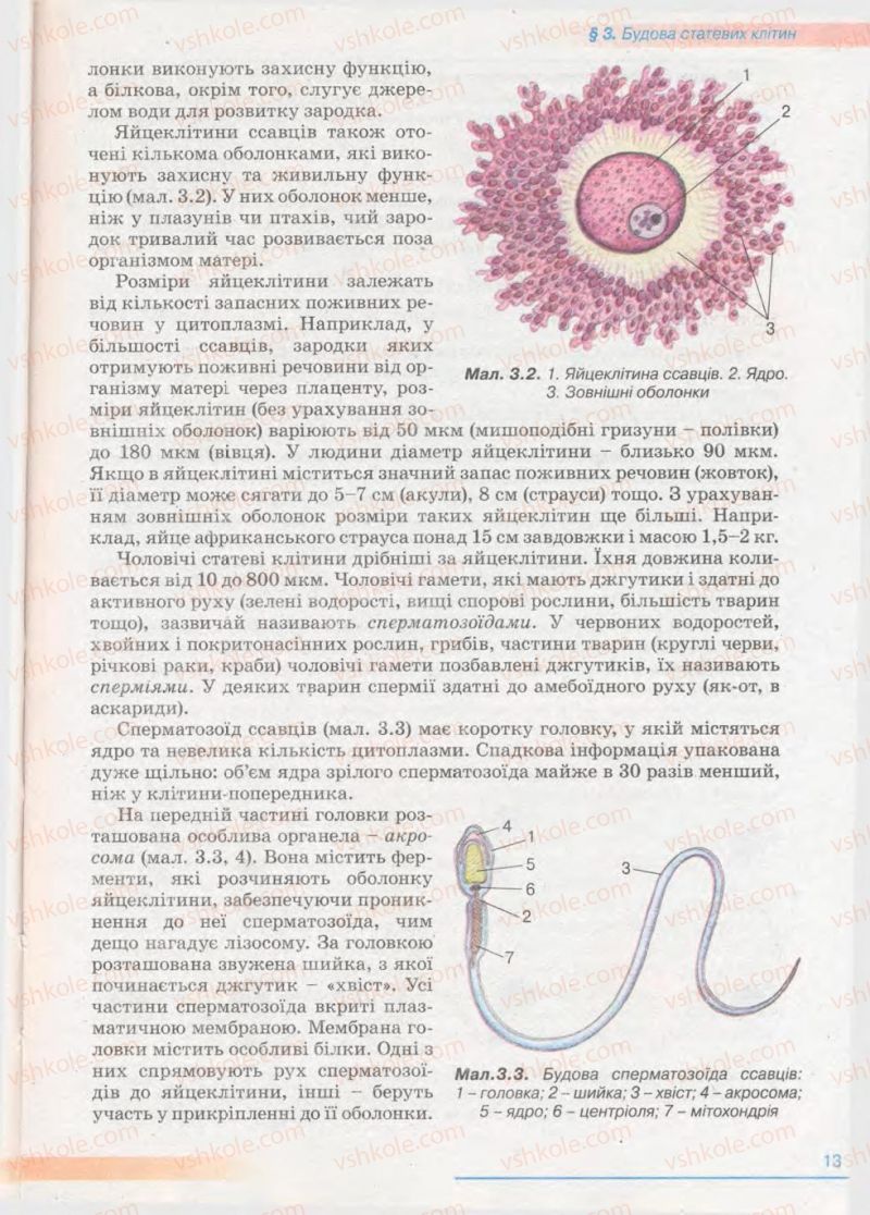 Страница 13 | Підручник Біологія 11 клас П.Г. Балан, Ю.Г. Вервес 2011 Академічний рівень