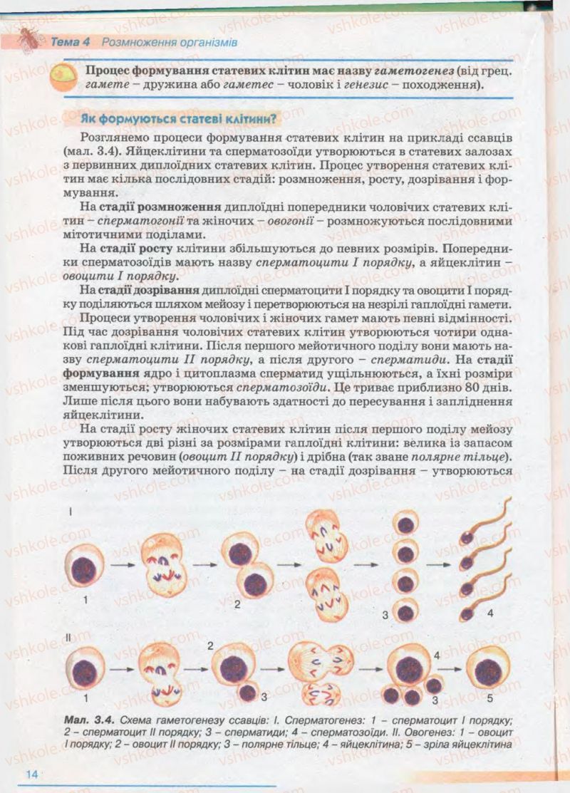 Страница 14 | Підручник Біологія 11 клас П.Г. Балан, Ю.Г. Вервес 2011 Академічний рівень
