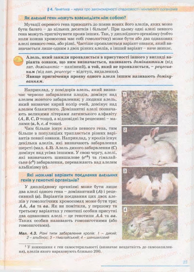 Страница 23 | Підручник Біологія 11 клас П.Г. Балан, Ю.Г. Вервес 2011 Академічний рівень