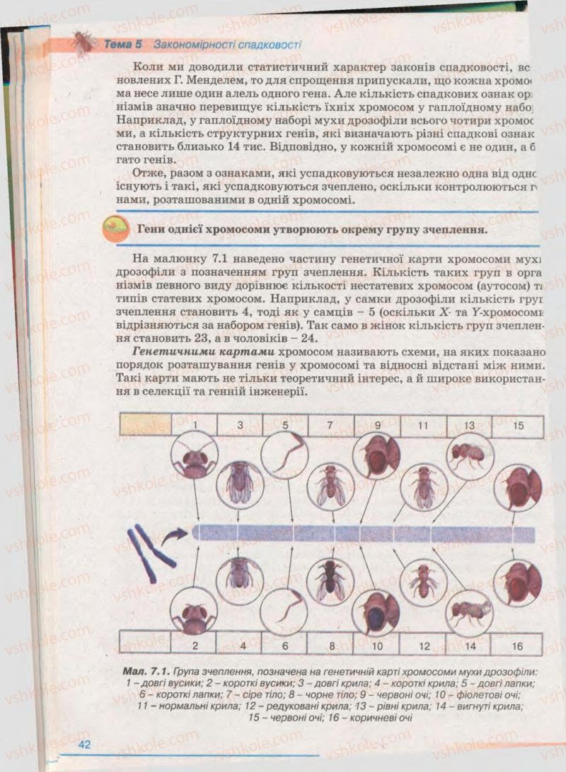 Страница 42 | Підручник Біологія 11 клас П.Г. Балан, Ю.Г. Вервес 2011 Академічний рівень