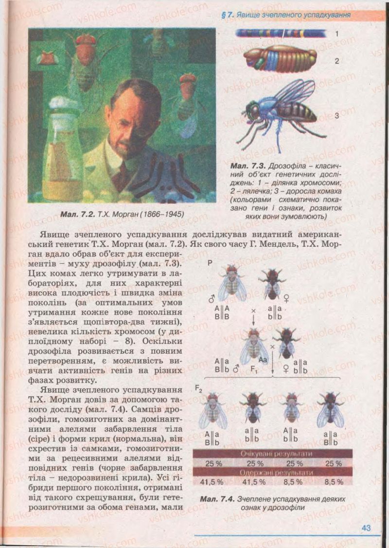 Страница 43 | Підручник Біологія 11 клас П.Г. Балан, Ю.Г. Вервес 2011 Академічний рівень