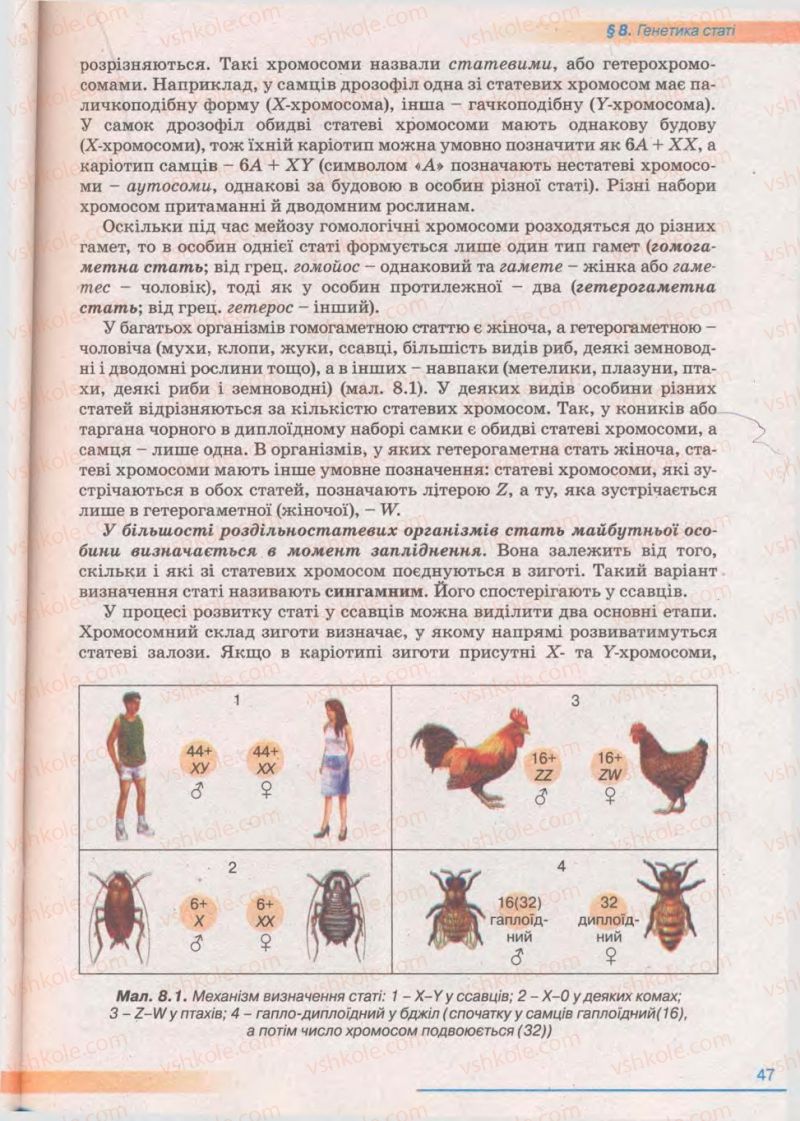 Страница 47 | Підручник Біологія 11 клас П.Г. Балан, Ю.Г. Вервес 2011 Академічний рівень