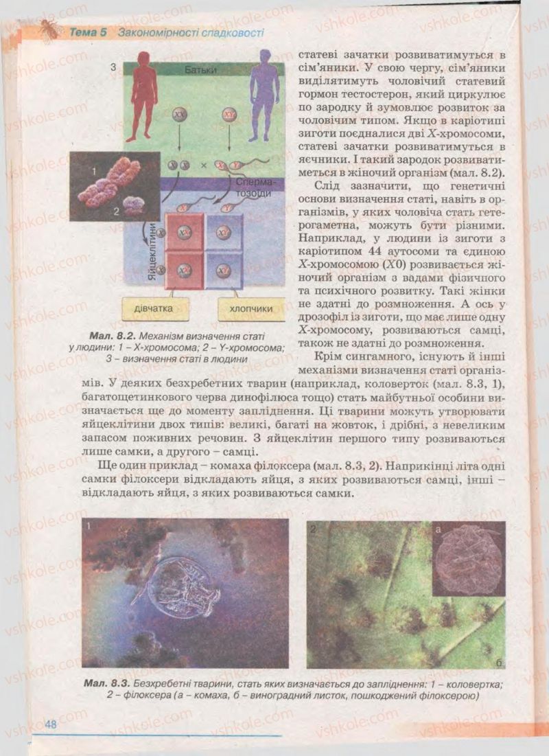 Страница 48 | Підручник Біологія 11 клас П.Г. Балан, Ю.Г. Вервес 2011 Академічний рівень