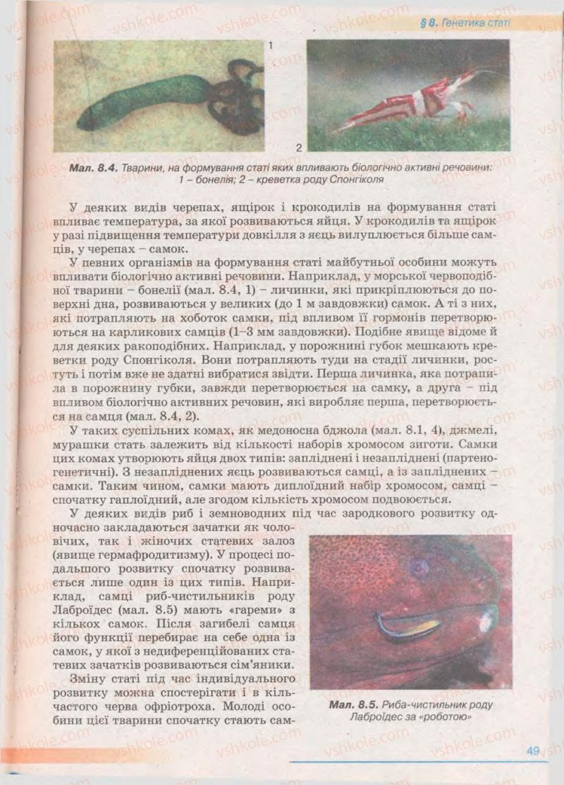 Страница 49 | Підручник Біологія 11 клас П.Г. Балан, Ю.Г. Вервес 2011 Академічний рівень