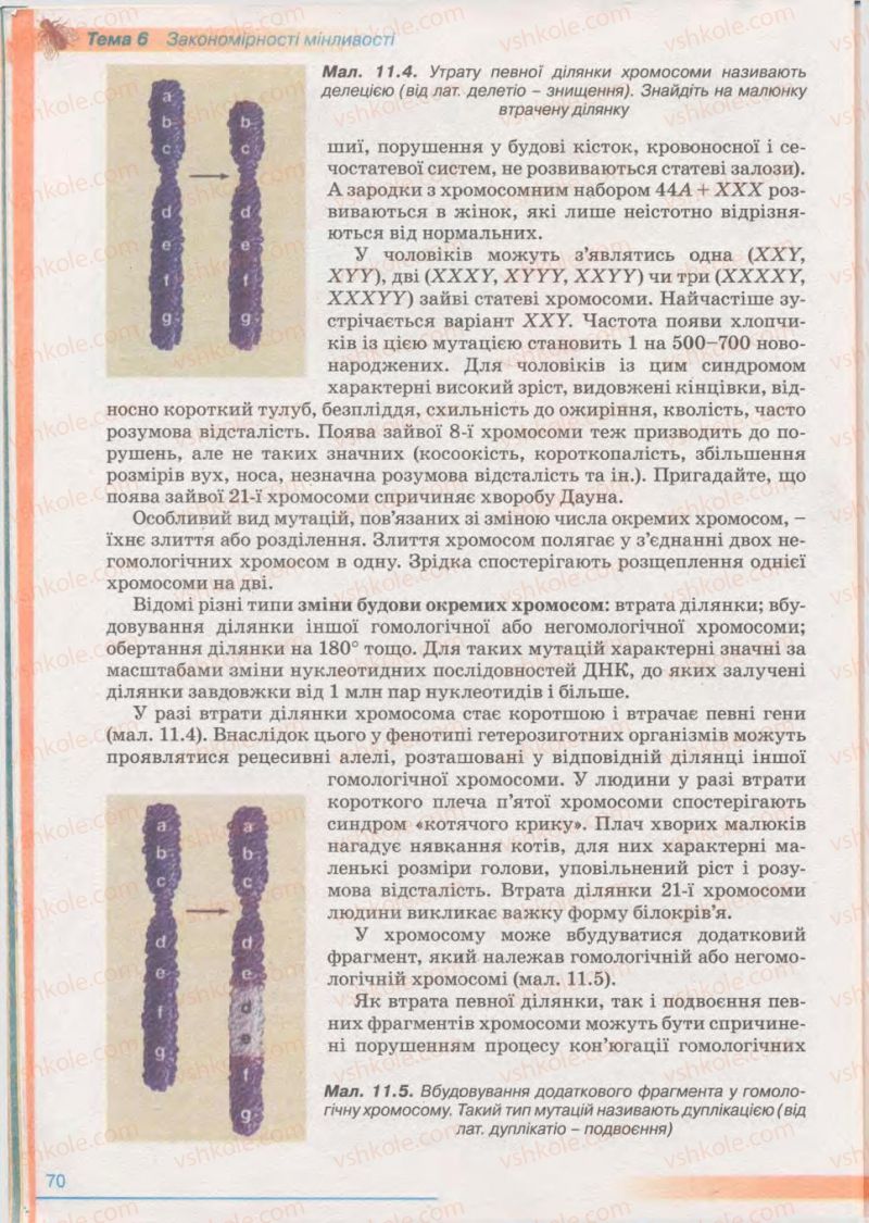 Страница 70 | Підручник Біологія 11 клас П.Г. Балан, Ю.Г. Вервес 2011 Академічний рівень