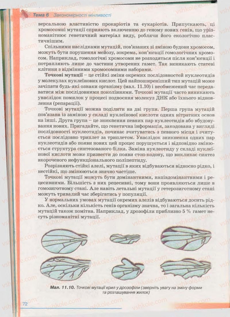 Страница 72 | Підручник Біологія 11 клас П.Г. Балан, Ю.Г. Вервес 2011 Академічний рівень