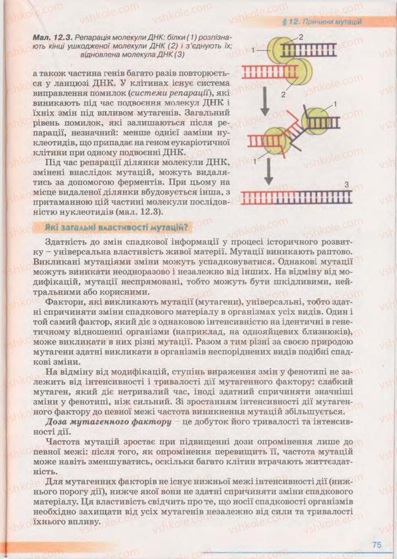 Страница 75 | Підручник Біологія 11 клас П.Г. Балан, Ю.Г. Вервес 2011 Академічний рівень