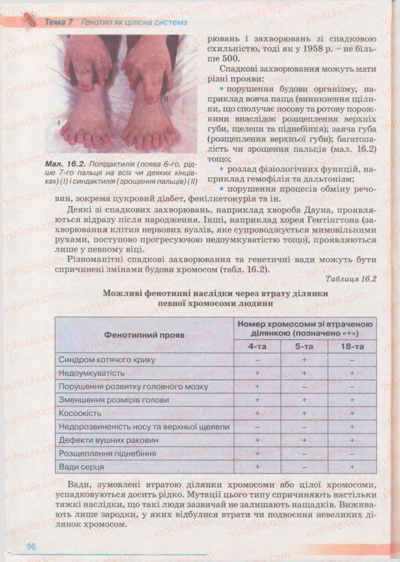 Страница 96 | Підручник Біологія 11 клас П.Г. Балан, Ю.Г. Вервес 2011 Академічний рівень
