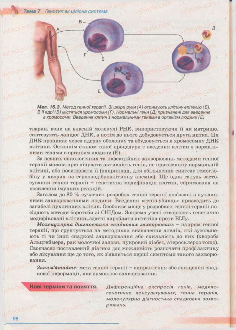 Страница 98 | Підручник Біологія 11 клас П.Г. Балан, Ю.Г. Вервес 2011 Академічний рівень