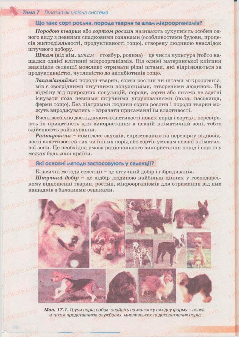 Страница 100 | Підручник Біологія 11 клас П.Г. Балан, Ю.Г. Вервес 2011 Академічний рівень