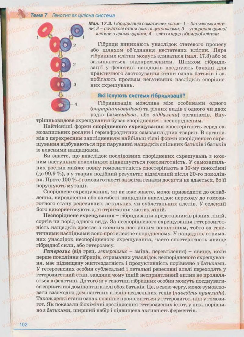 Страница 102 | Підручник Біологія 11 клас П.Г. Балан, Ю.Г. Вервес 2011 Академічний рівень