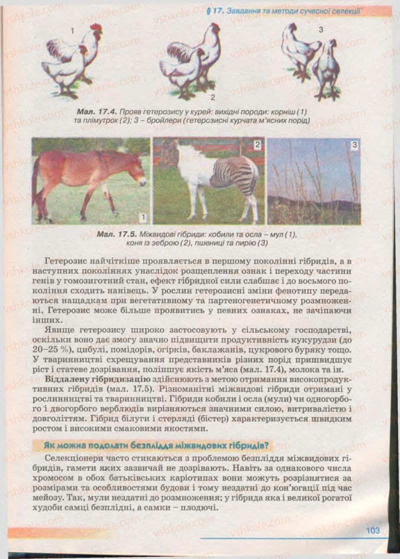 Страница 103 | Підручник Біологія 11 клас П.Г. Балан, Ю.Г. Вервес 2011 Академічний рівень