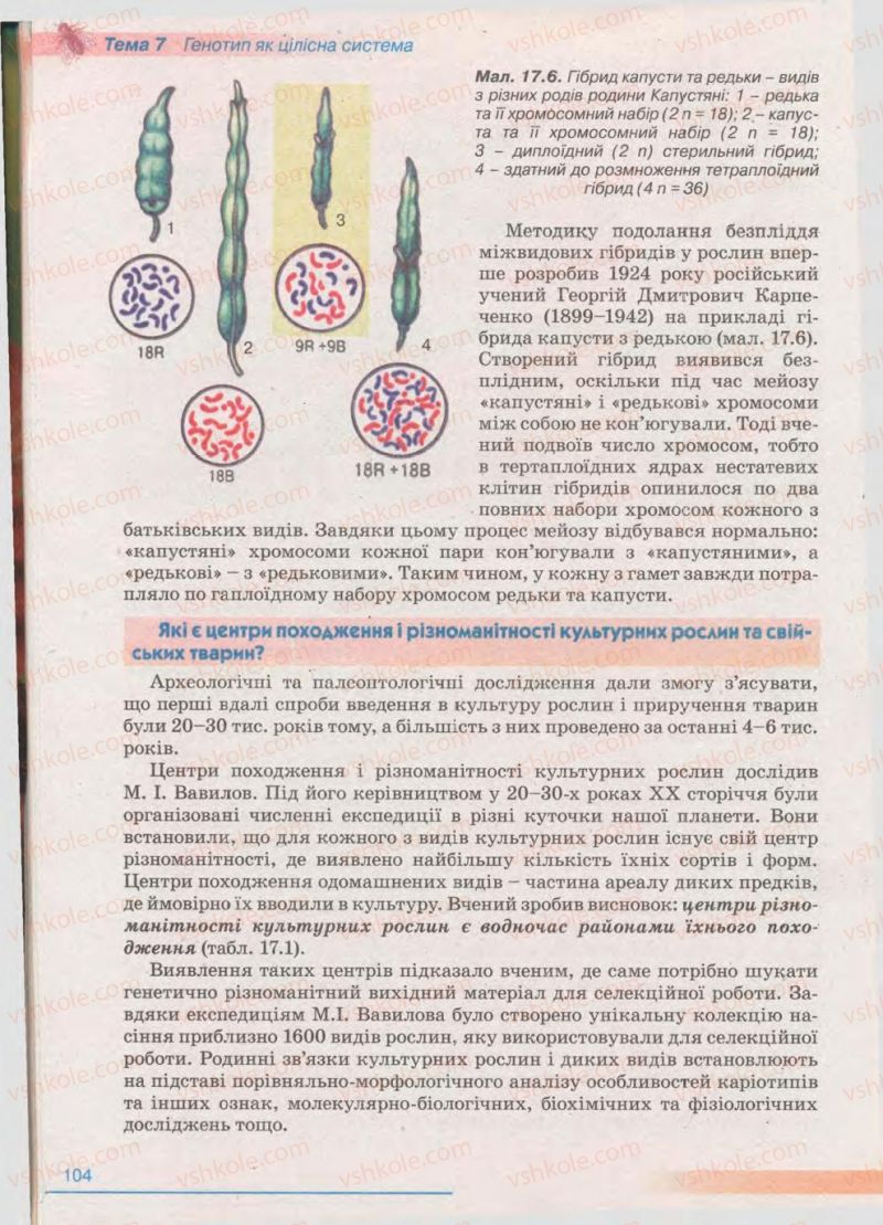 Страница 104 | Підручник Біологія 11 клас П.Г. Балан, Ю.Г. Вервес 2011 Академічний рівень