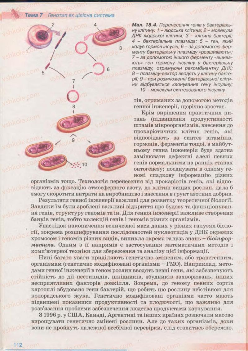 Страница 112 | Підручник Біологія 11 клас П.Г. Балан, Ю.Г. Вервес 2011 Академічний рівень