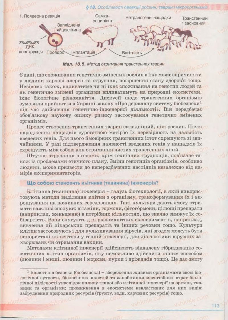 Страница 113 | Підручник Біологія 11 клас П.Г. Балан, Ю.Г. Вервес 2011 Академічний рівень
