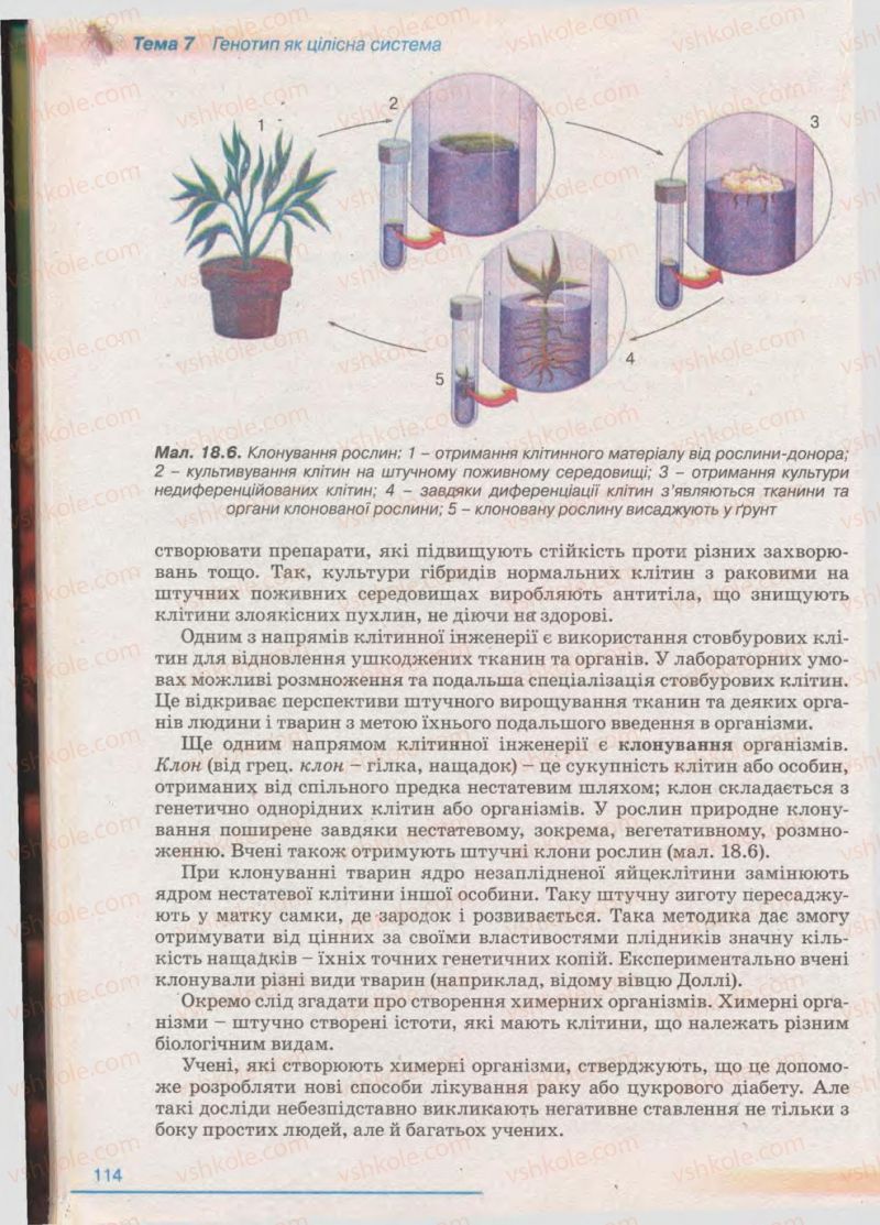 Страница 114 | Підручник Біологія 11 клас П.Г. Балан, Ю.Г. Вервес 2011 Академічний рівень