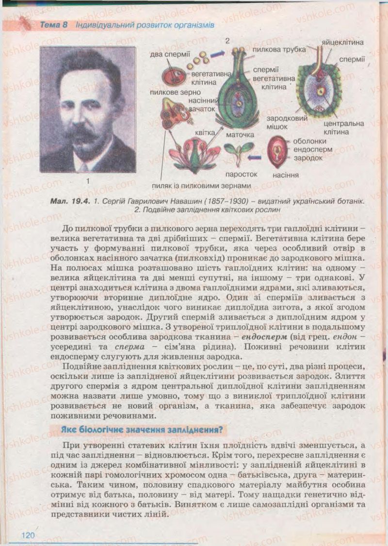 Страница 120 | Підручник Біологія 11 клас П.Г. Балан, Ю.Г. Вервес 2011 Академічний рівень