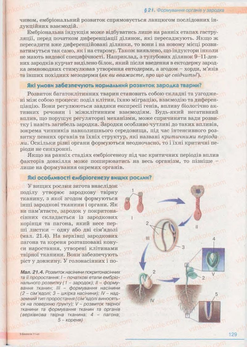 Страница 129 | Підручник Біологія 11 клас П.Г. Балан, Ю.Г. Вервес 2011 Академічний рівень
