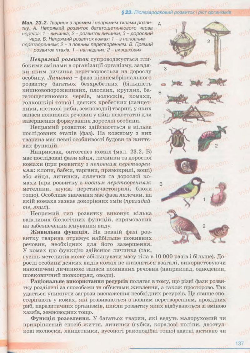 Страница 137 | Підручник Біологія 11 клас П.Г. Балан, Ю.Г. Вервес 2011 Академічний рівень