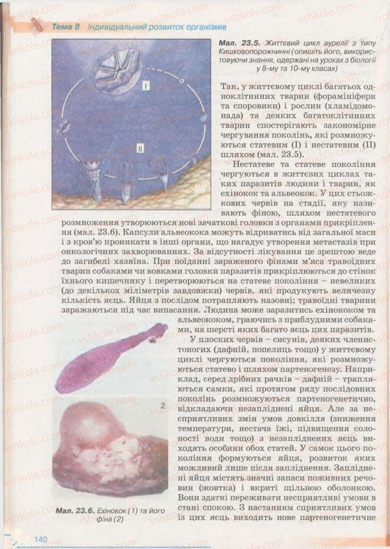 Страница 140 | Підручник Біологія 11 клас П.Г. Балан, Ю.Г. Вервес 2011 Академічний рівень