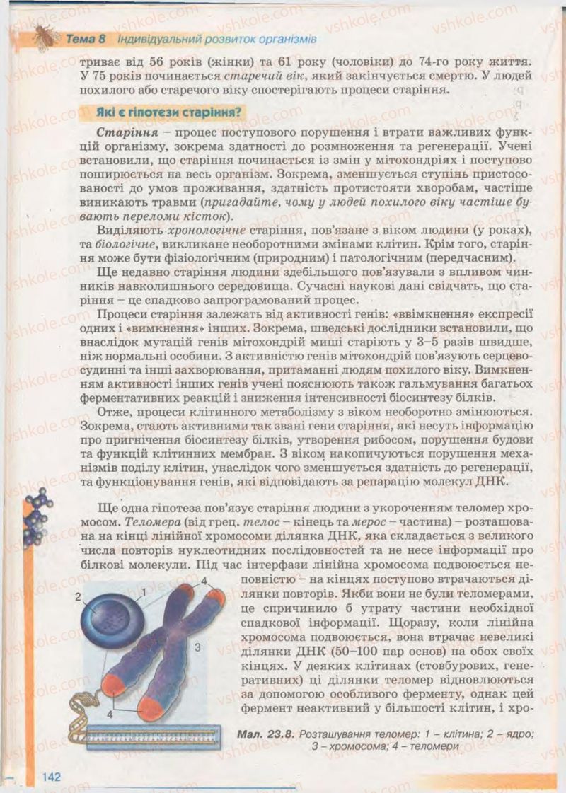 Страница 142 | Підручник Біологія 11 клас П.Г. Балан, Ю.Г. Вервес 2011 Академічний рівень