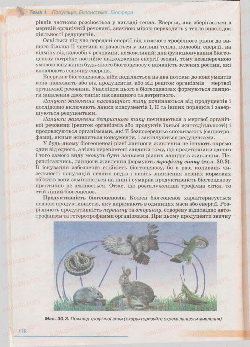 Страница 178 | Підручник Біологія 11 клас П.Г. Балан, Ю.Г. Вервес 2011 Академічний рівень